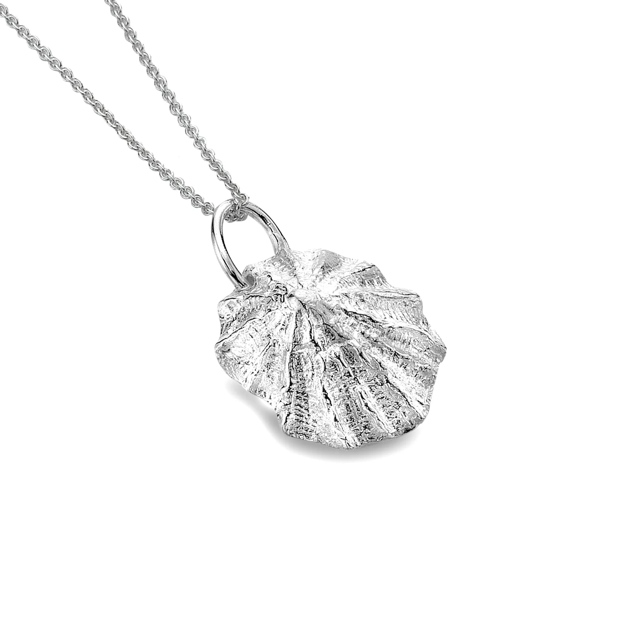 Rock Limpet Pendant